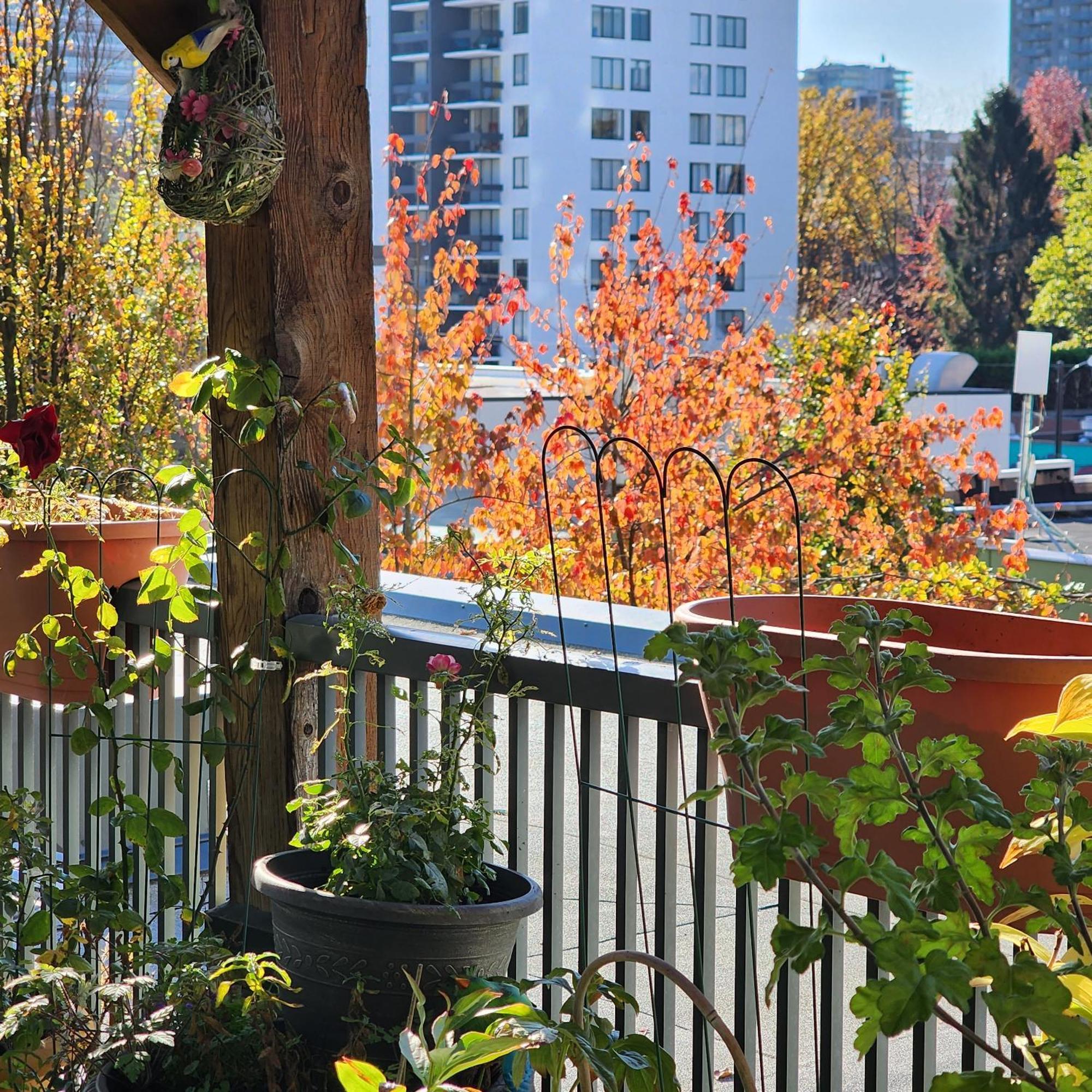 Times Square Suites Hotel Vancouver Exterior photo